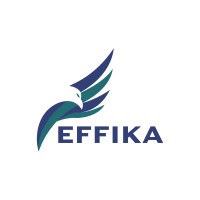 EFFIKA group